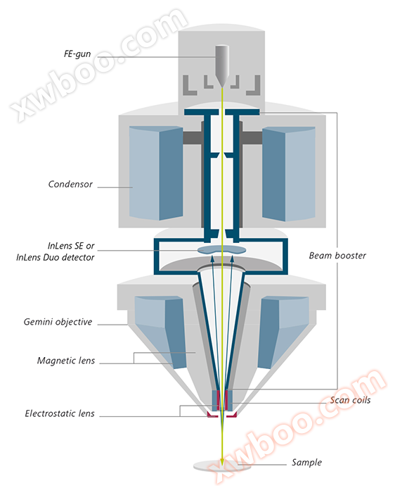 Gemini 镜筒的横截面示意图