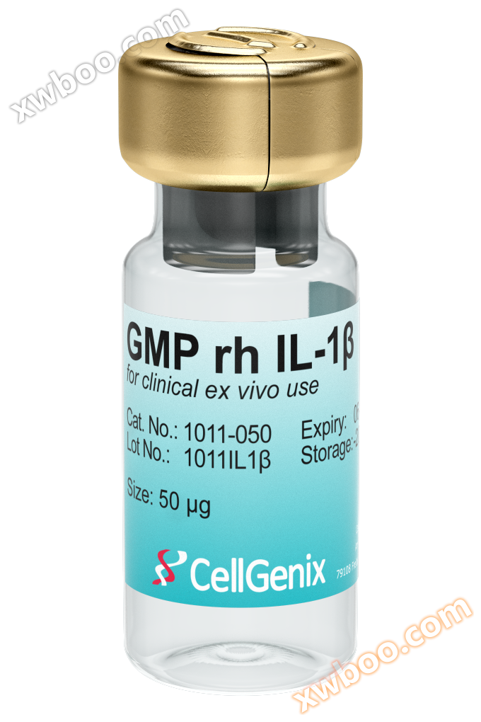 GMP級IL-1β