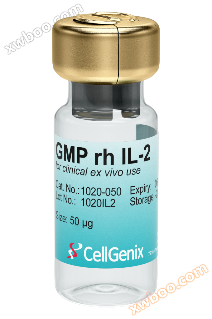 GMP級IL-2