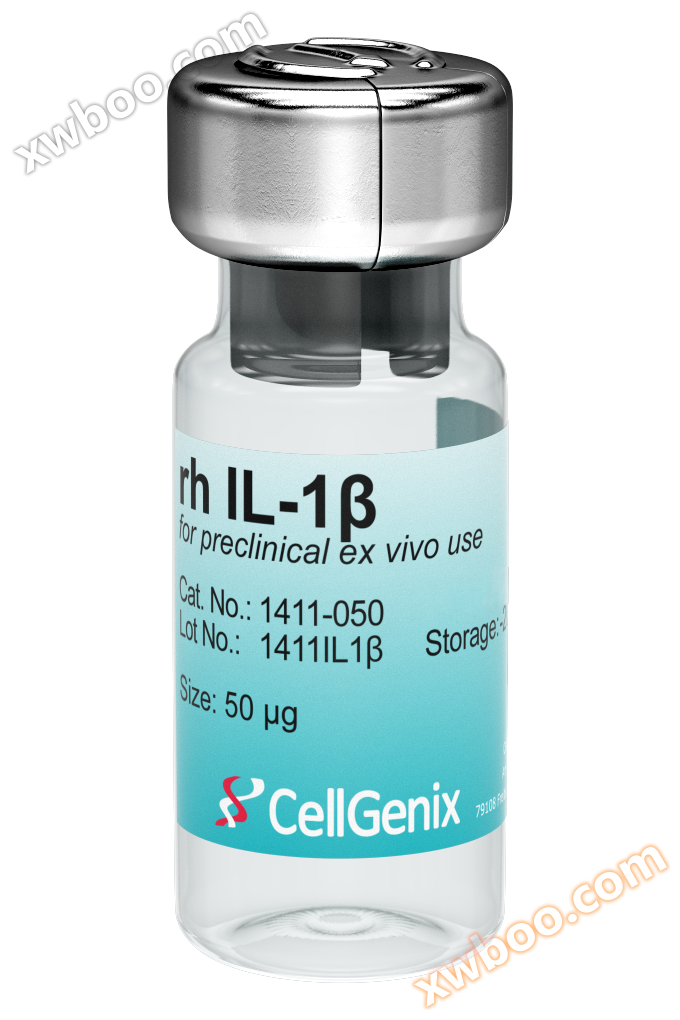 Preclinical grade IL-1 β