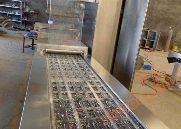 Fruit jerky fully automatic stretch film vacuum packaging machine