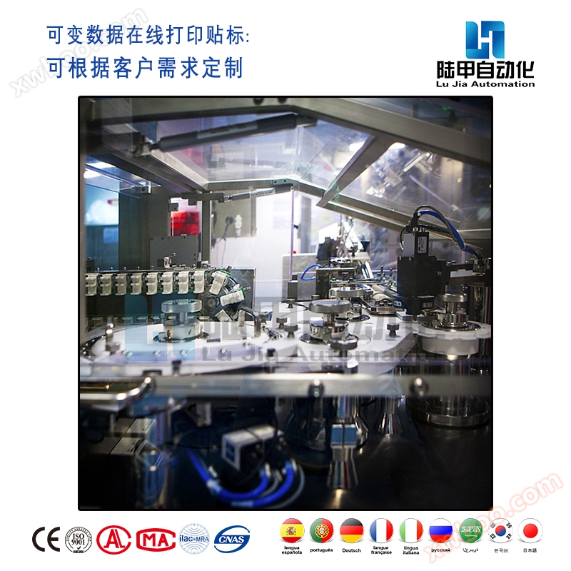 Changeable Data Online kuchapisha Labeling Machine