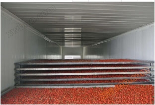 Goji berry drying boiler equipment