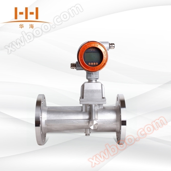 Focvor5102 Döndürme Sınır Gaz Akım Ölçeri (Paslanmaz Çelik)